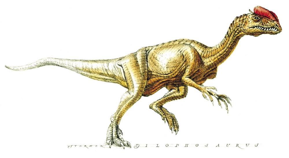 Dinosaur Tracks: Lost and Found