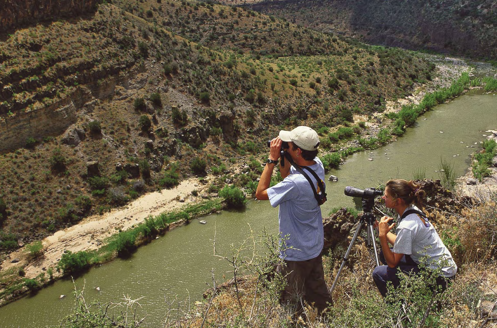 RICHARD L. GLINSKI, TOM VEZO