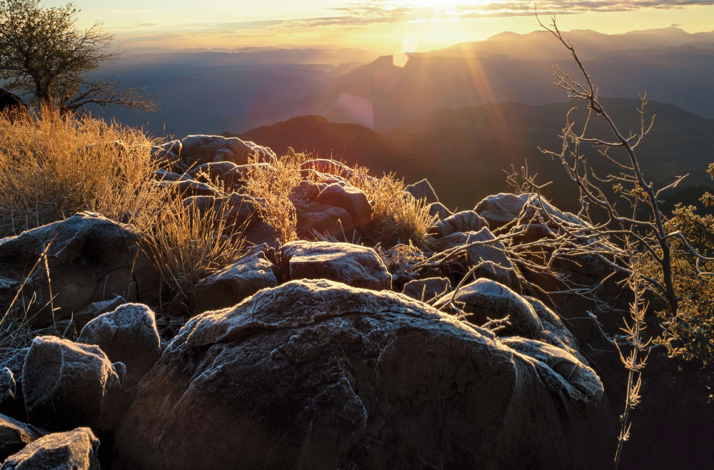 Dawn's Gleam
Frost sheathes branches
and rocks at sunrise
atop 5,998-foot Pine
Mountain in the
Mazatzal Wilderness.