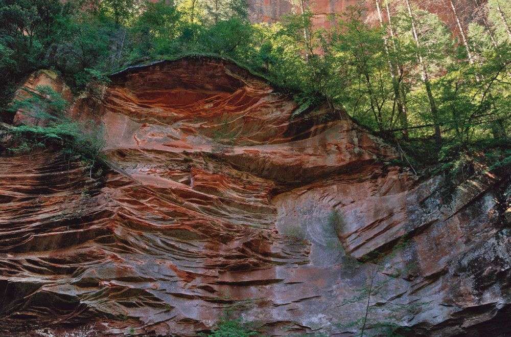 West Fork of Oak Creek, Coconino National Forest.