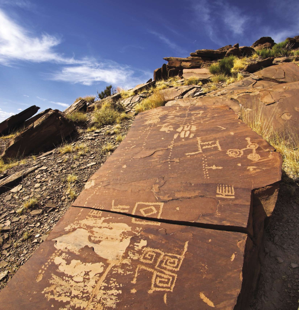 Looters Plunder Lands Flagged for Petrified Forest Expansion