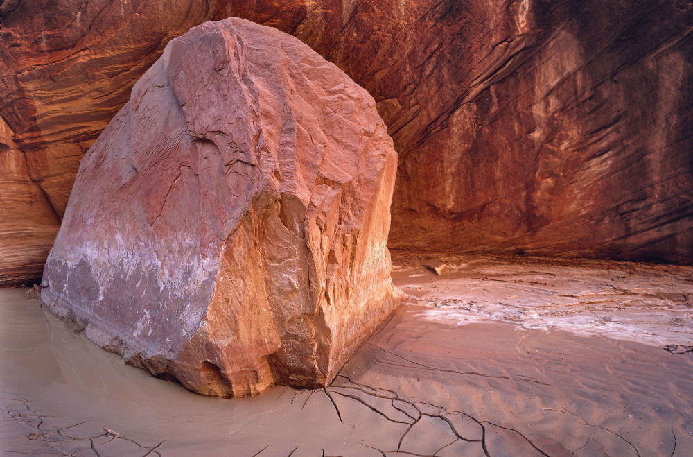 FLOOD MUD Drying, cracked mud surrounding a boulder near a Jurassic Navajo sandstone wall in Paria Canyon testifies to one of the canyon's innumerable, unpredictable flash floods.