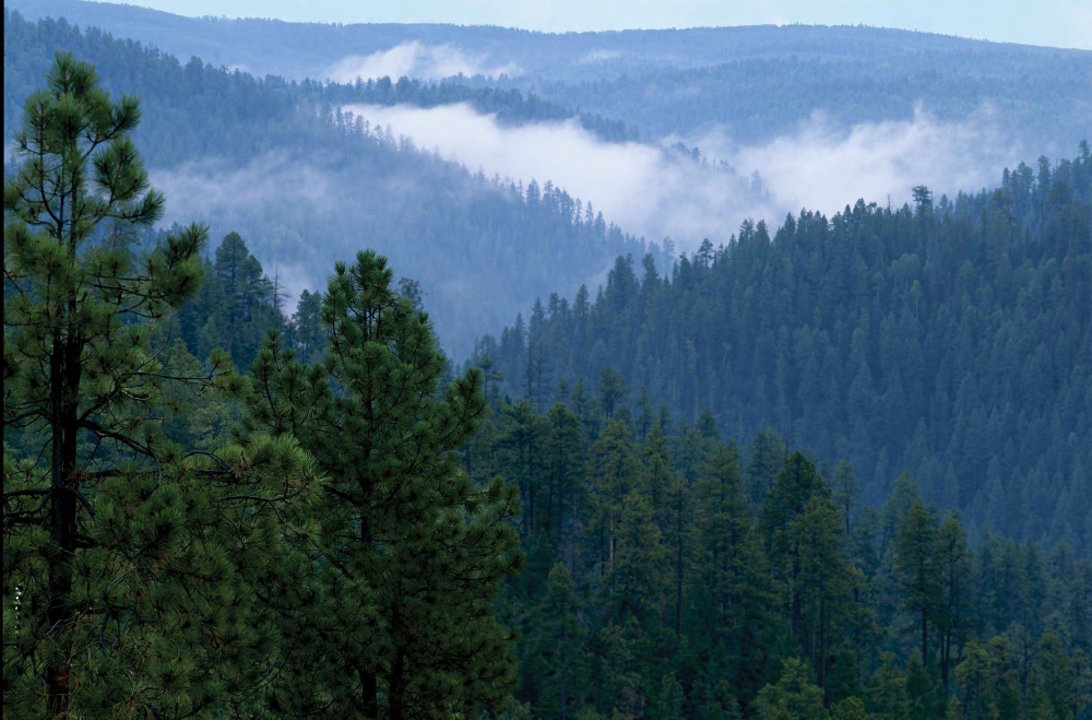 The White Mountains welcome newcomers, but harbor secrets By Jo Baeza