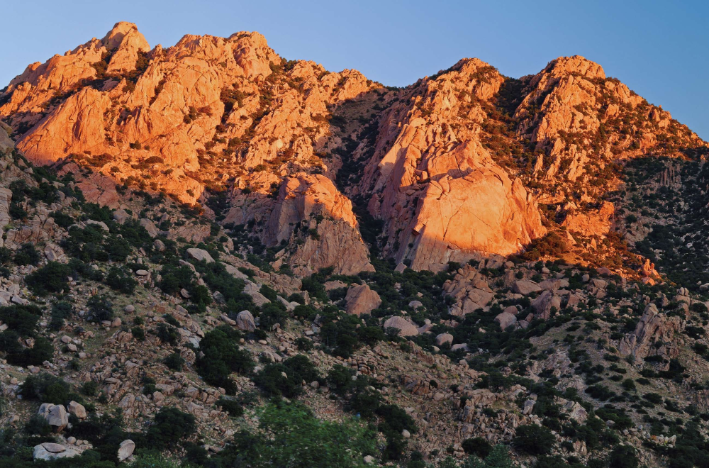 To order a print of this photograph, see inside front cover.