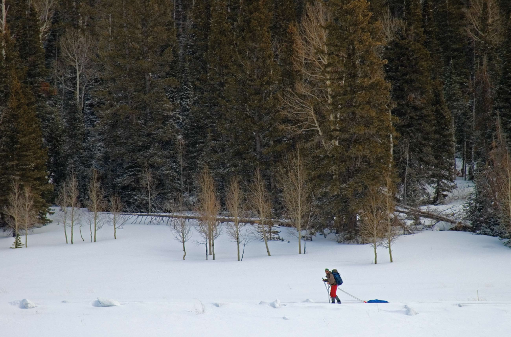 Seventh Natural Wonderland