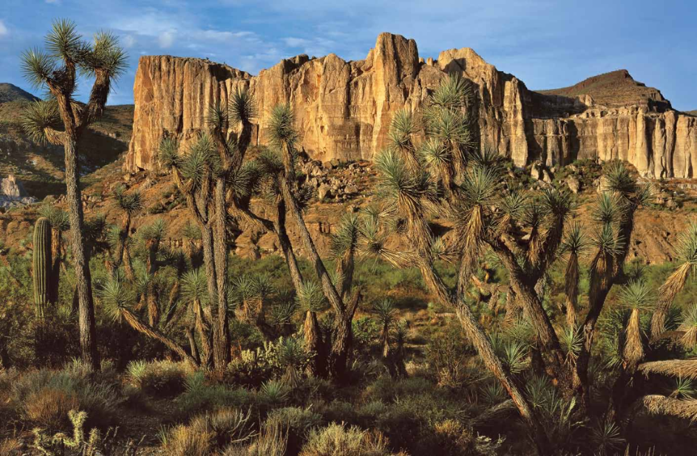 SCENIC DRIVE