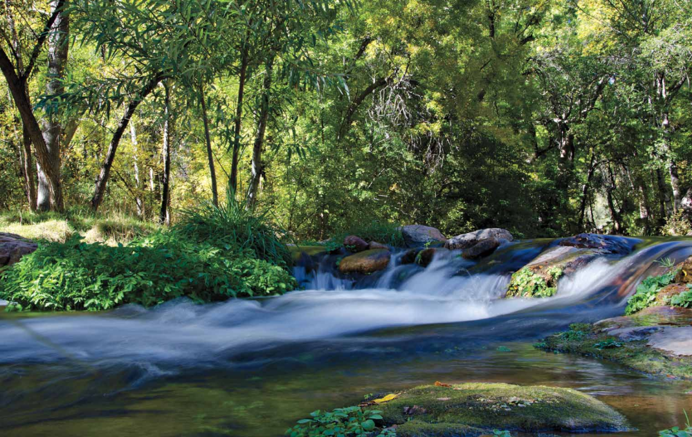 Fossil Creek runs free now, no longer harnessed to a hydroelectric plant as it was from 1908 to 2005. OPPOSITE PAGE: As you drive through the area, elk are among the native wildlife you may encounter.