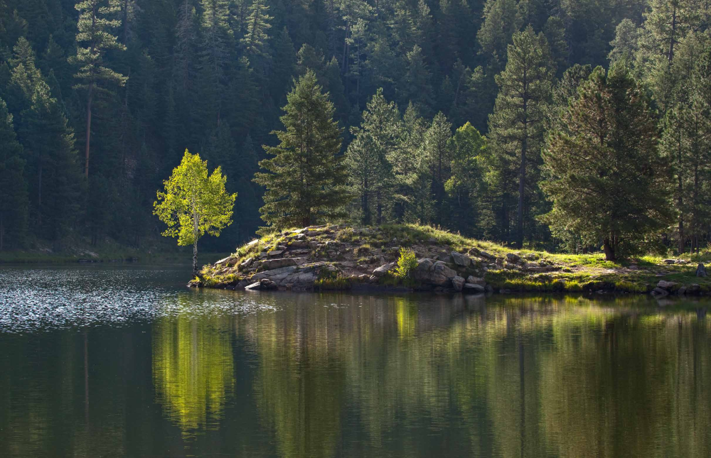 LAND OF LESS THAN 10,000 LAKES
