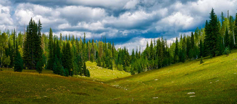 HIKE OF THE MONTH