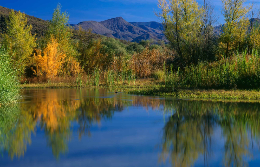 THE VERDE