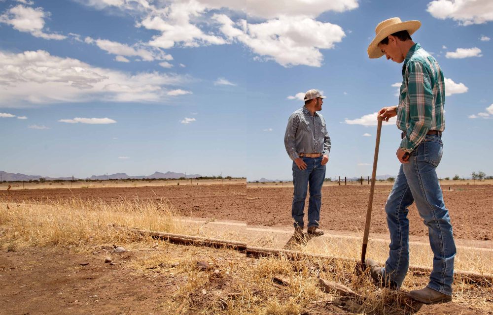 Cousins Aaron Cardona, left, and Bryan Fontes survey their family's farm in Double Adobe.