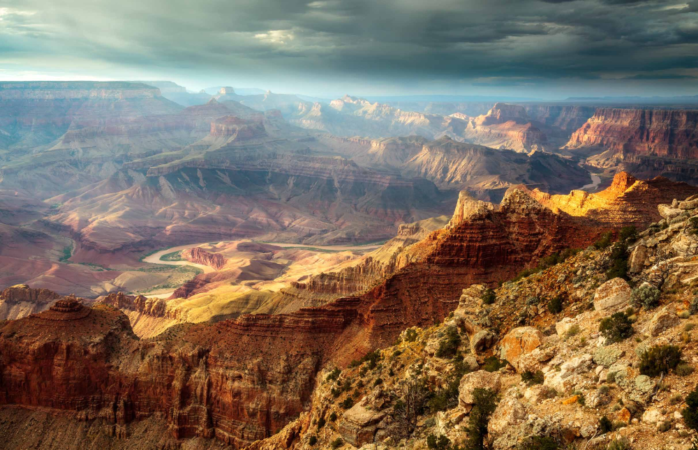 THIS LAND IS YOUR LAND