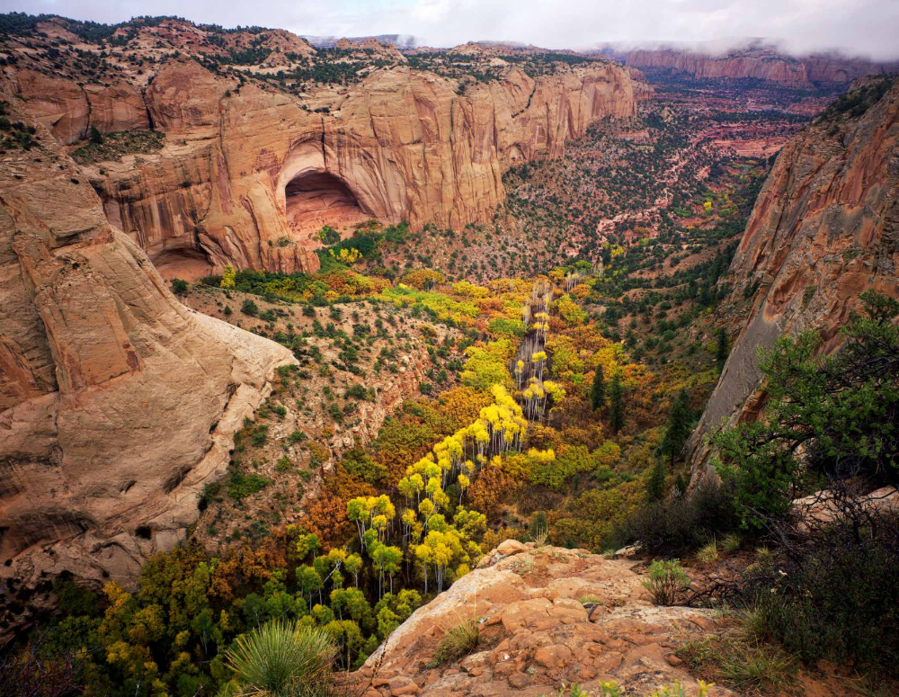 NAVAJO NATIONAL MONUMENT