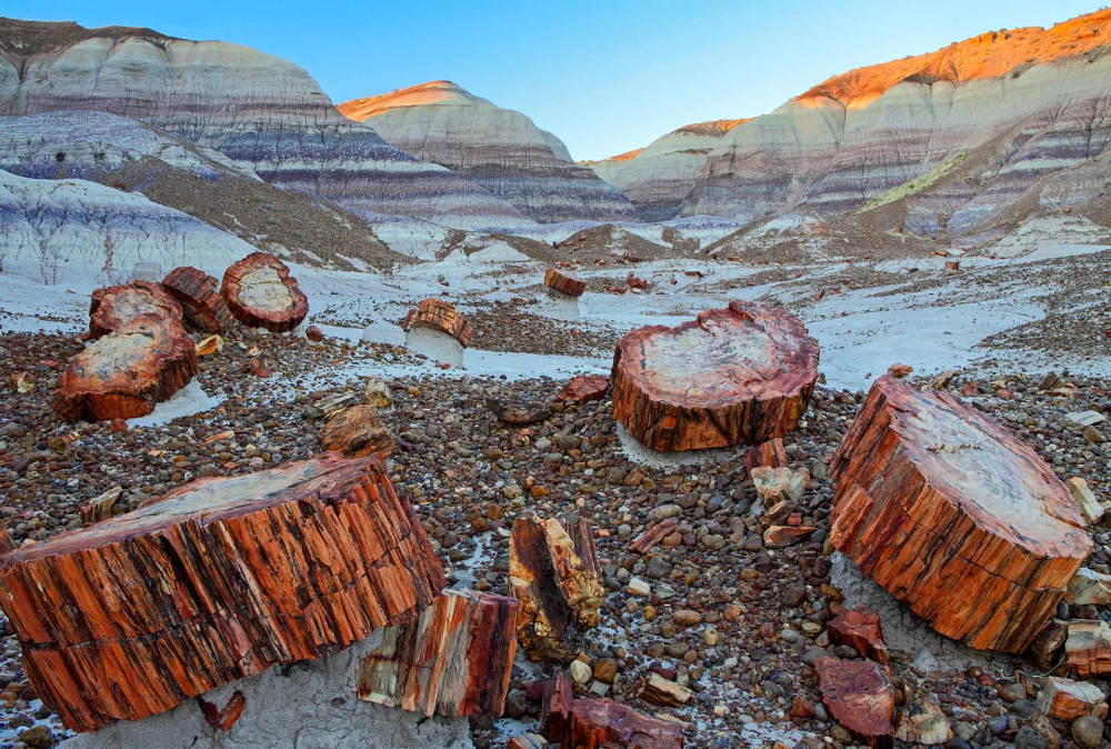 PETRIFIED FOREST NATIONAL PARK