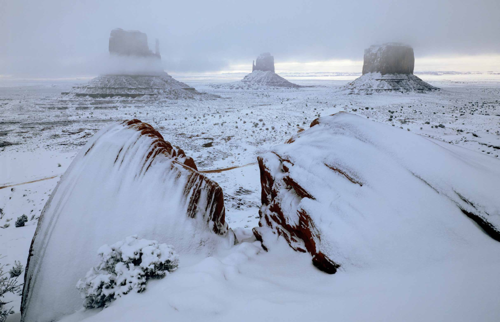 David Muench