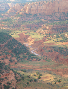 A Story of Navajo Survival