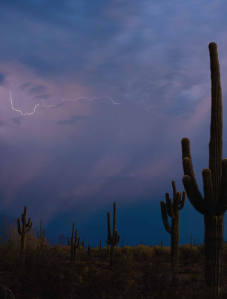 Desert Preserve
