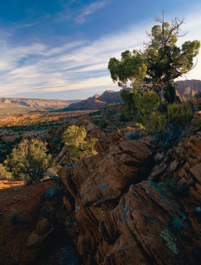 A Simple Ranch Life on the Arizona Strip