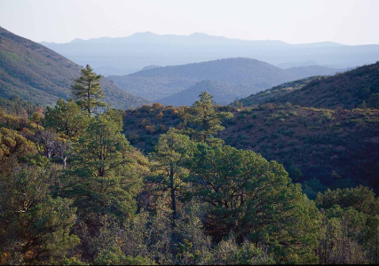 DESTINATION San Jose de Tumacacori Mission