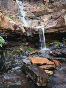 HIKE OF THE MONTH