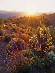 HIKE OF THE MONTH