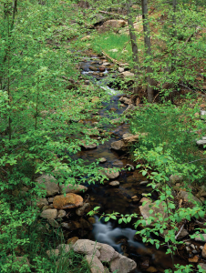 Seeking the Water's Source