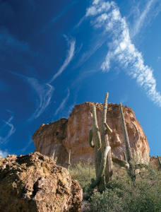 Hike of the Month
