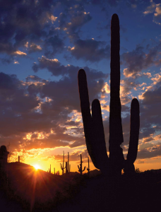 BACK ROAD ADVENTURE Ironwood Forest National Monument