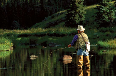 Surrounded by meadows and ponderosa pines, the serenity of a high-mountain trout stream beckons where the arms of the Black River converge near Three Forks in eastern Arizona.