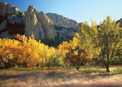 Geronimo's Influence Evolved From His Powers