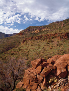 HIKE OF THE MONTH