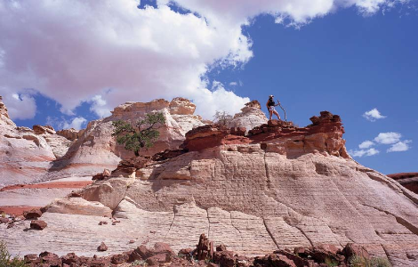 Salmon-colored rock layers striate the Navajo sandstone formations that typify the landscape near Page.