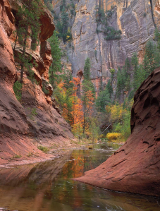 Seductive Sedona