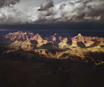 david muench
