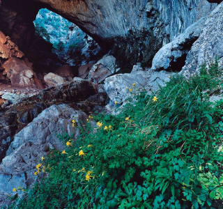 Adventures in State Parks