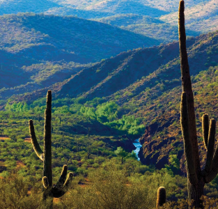 Leo W. Banks, Morey K. Milbradt