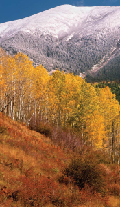 Spectacular Scenic Drives
