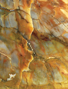 Submerged eons ago in mineral-rich water, the once-living tissue of an ancient tree has been replaced in petrification by silica from dissolved volcanic ash and tinted red from hematite, yellow from iron hydroxide and green from chromium, appreciated as a close-up composition