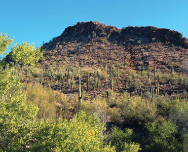 HIKE OF THE MONTH