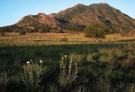 The 7,244-foot Granite Mountain, forested with piñ-on, juniper and ponderosa pines, is popular with both peregrine falcons and rock climbers from nearby Prescott.