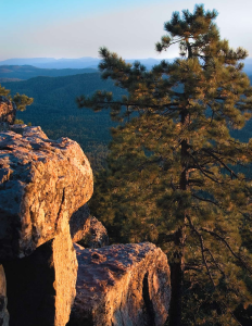 HIKE OF THE MONTH