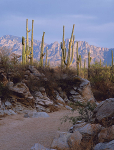 HIKE OF THE MONTH