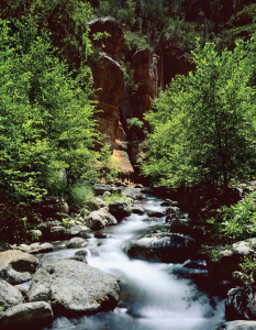 WHERE IS THIS?