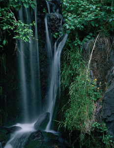 SUMMER HIKING GUIDE