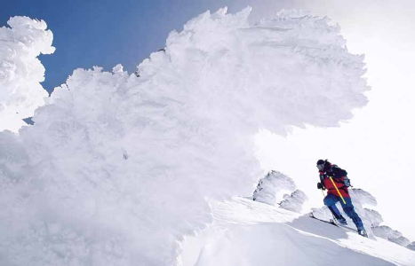 What's With the Names?