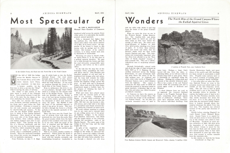 In the Kaibab Forest, the Road near the North Rim of the Grand Canyon