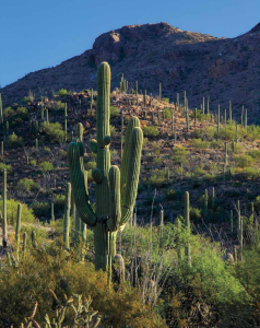 HIKE OF THE MONTH