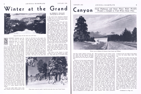 Along the Canyon rim five miles east of El Tovar