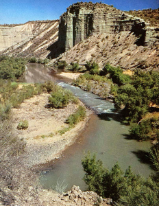 HE FLOATED AN IDEA ABOUT THE VERDE RIVER
