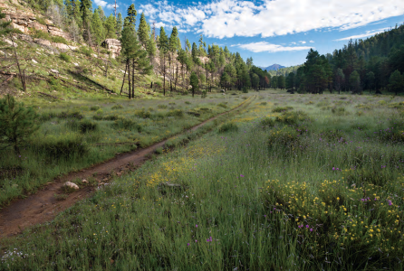 EASY SUMMER HIKES